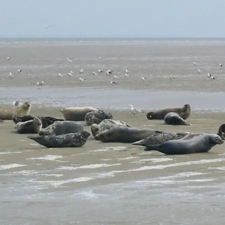 Casa de Férias Wiringherlant-2 By Interhome *